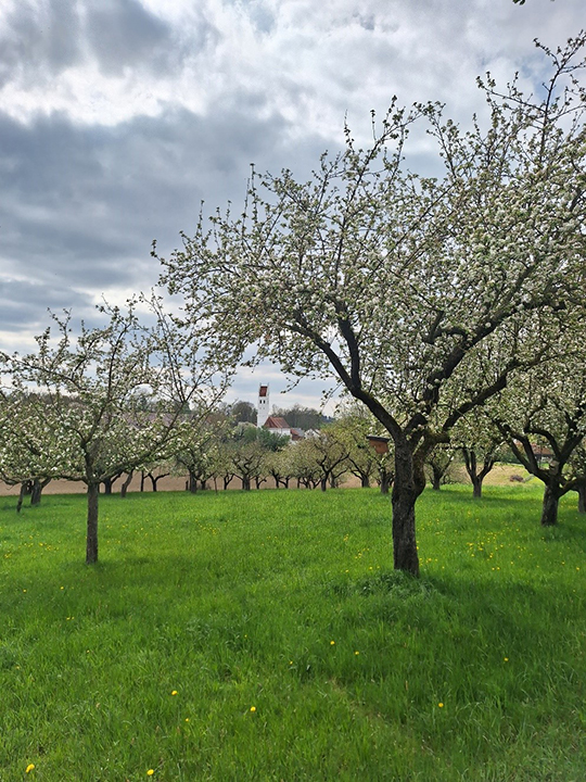 Woernsdorf 03 Kopie